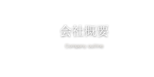 ページタイトル