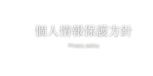 ページタイトル