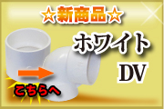 ホワイトDV