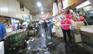上海魚市場