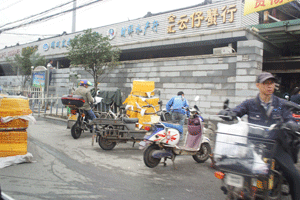 上海魚市場