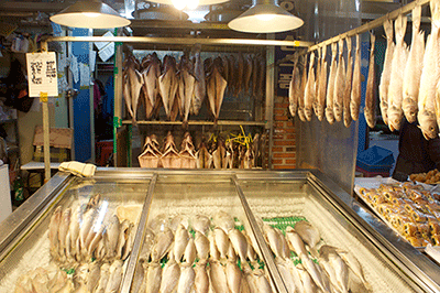 釜山魚