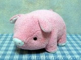 �K���̂Ԃ��@PIGGY�@�iMM�j image