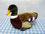 MALLARD�@DUCK �@�}�K�� image