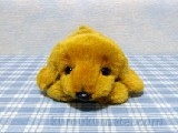 ���˂���DOG�@�_�b�N�X�t���h�@ image