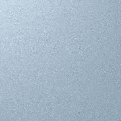 Y25-2919