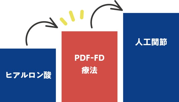 PDF-FD療法とは