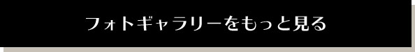 フォトギャラリーをもっと見る