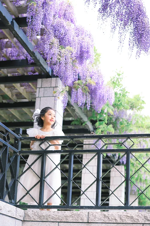 Summer Garden Walk〜Wisteria〜(4)