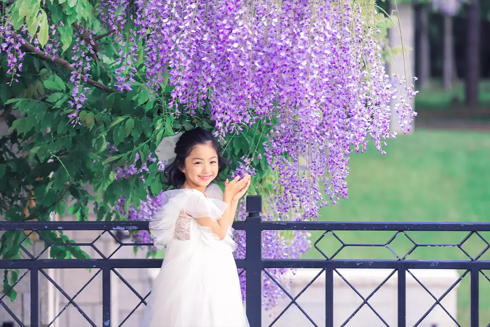Summer Garden Walk〜Wisteria〜(5)