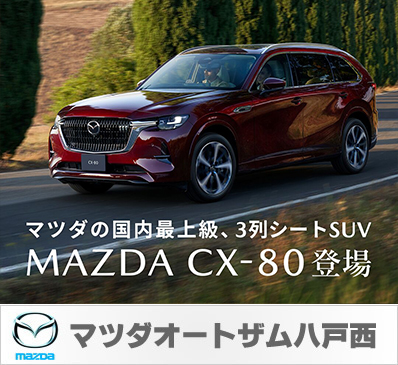 }c_I[gUː }c_̍ŏ㋉A3V[gSUV MAZDA CX-80 o